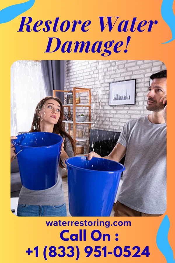 water restoration Silver Damage Restoration Brothers Alexandria