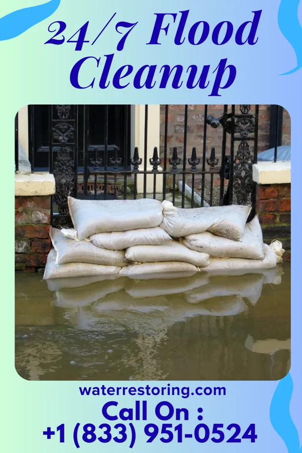 24/7 Flood Cleanup in Alexandria, MN