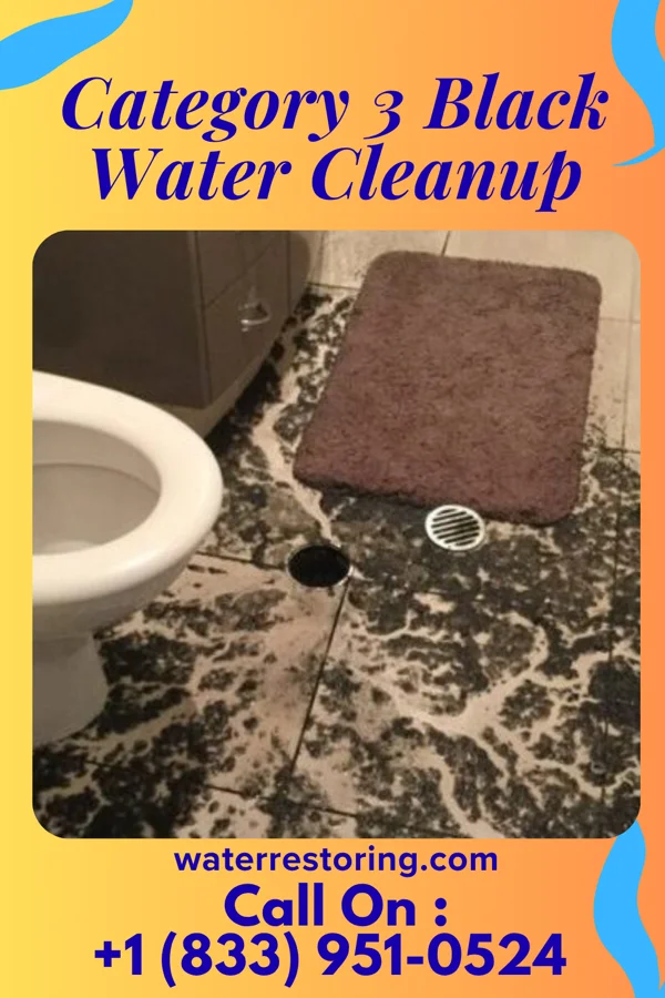 Category 3 Black Water Cleanup in Alexandria, MN