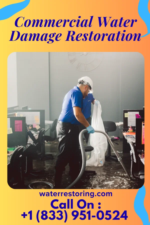 Commercial Water Damage Restoration in Alexandria, MN