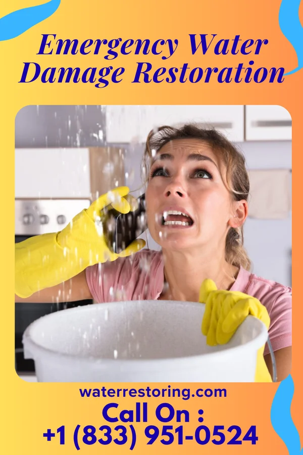 Emergency Water Damage Restoration in Alexandria, MN