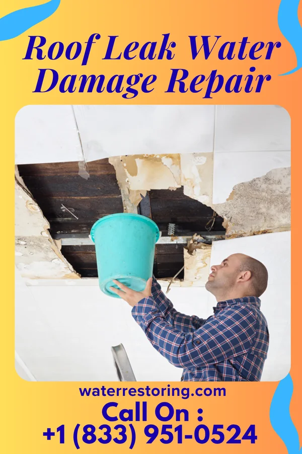 Roof Leak Water Damage Repair in Alexandria, MN