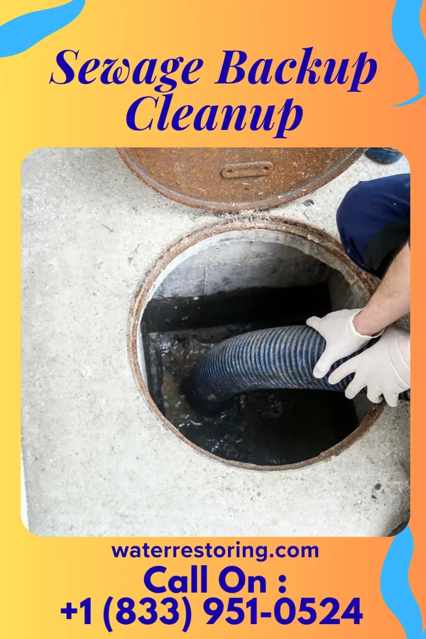 Sewage Backup Cleanup in Alexandria, MN